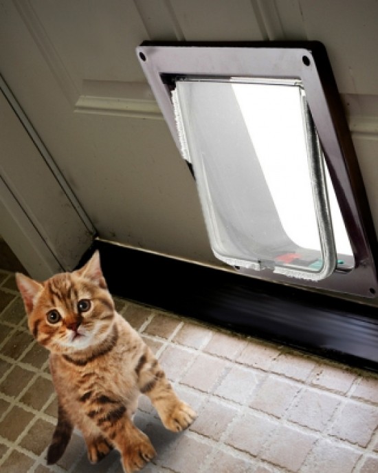 Kimpets Lockable Dog Cat Security Flap Door